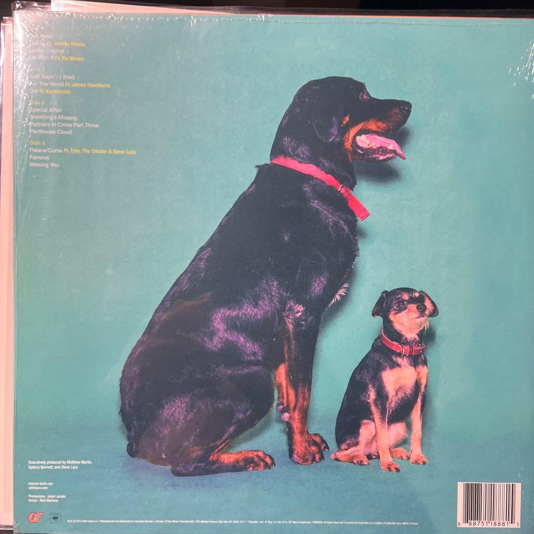The Internet EGO DEATH 2LPレコード