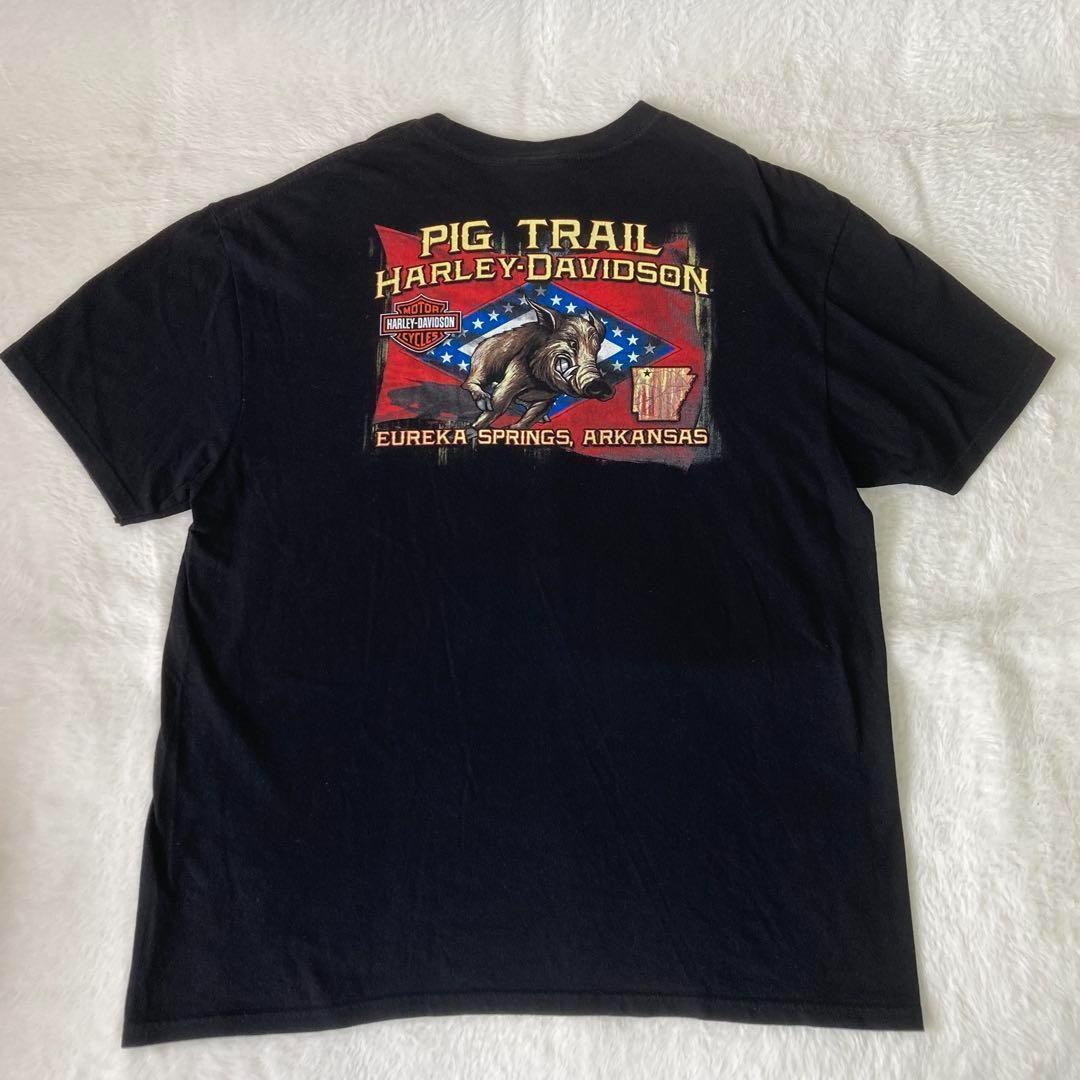 ⭐️美品⭐️ ハーレーダビッドソン　Tシャツ 黒　2XL　ピンナップガール　両面