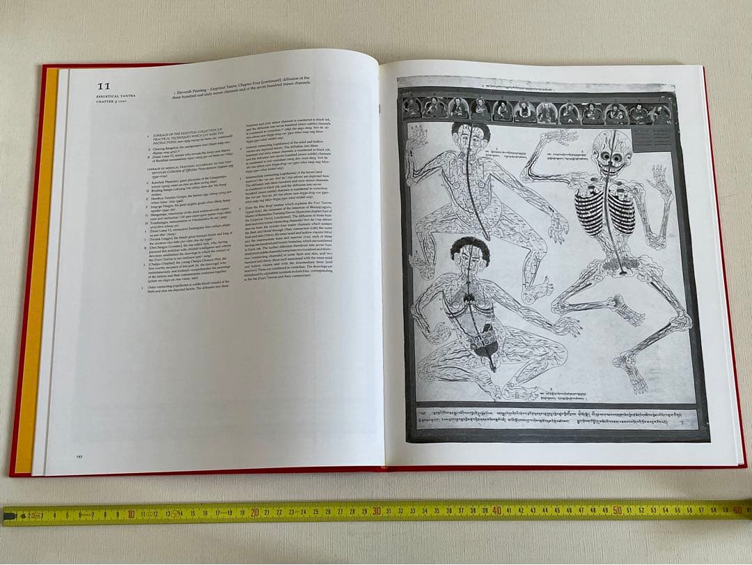 洋書 Tibetan Medical Paintings