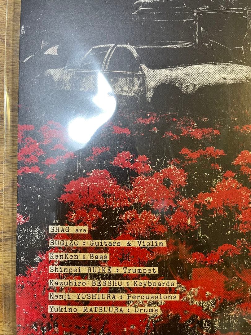THE PROTEST JAM【アナログ盤】 SHAG LP盤　SUGIZO