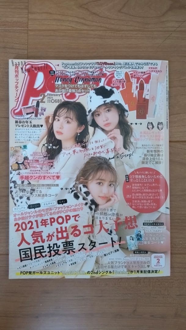 月刊ポップティーン　１５冊まとめ売り