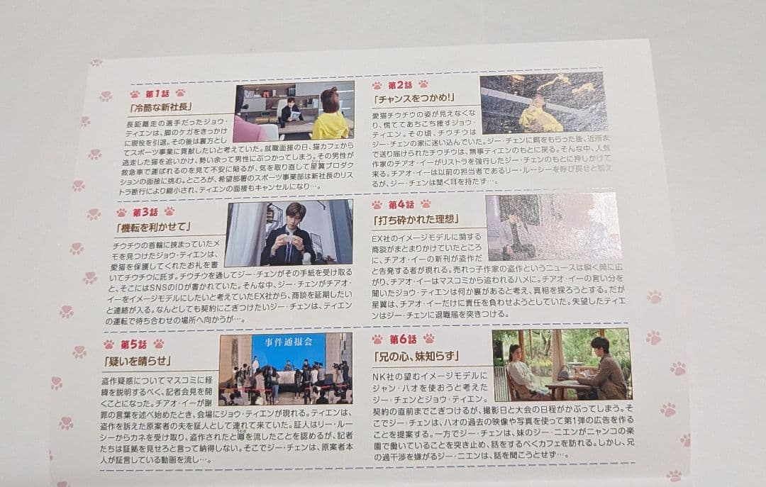 ネコの手も借りたい恋 DVD-SET1と2のセット！