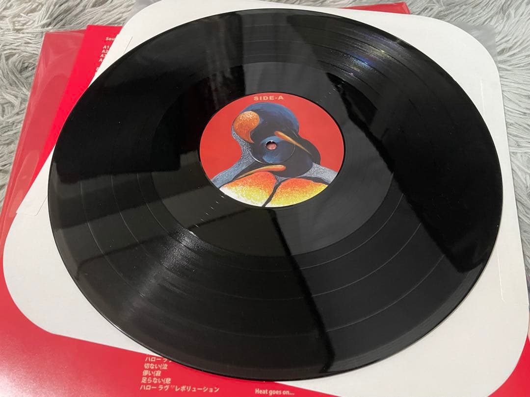 SOUTH PENGUIN サウス・ペンギン R LP