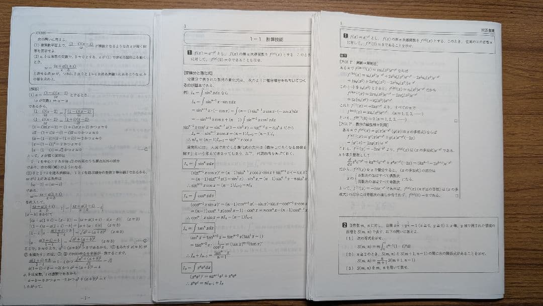 駿台　数学ZX 2025年版 前期後期セット
