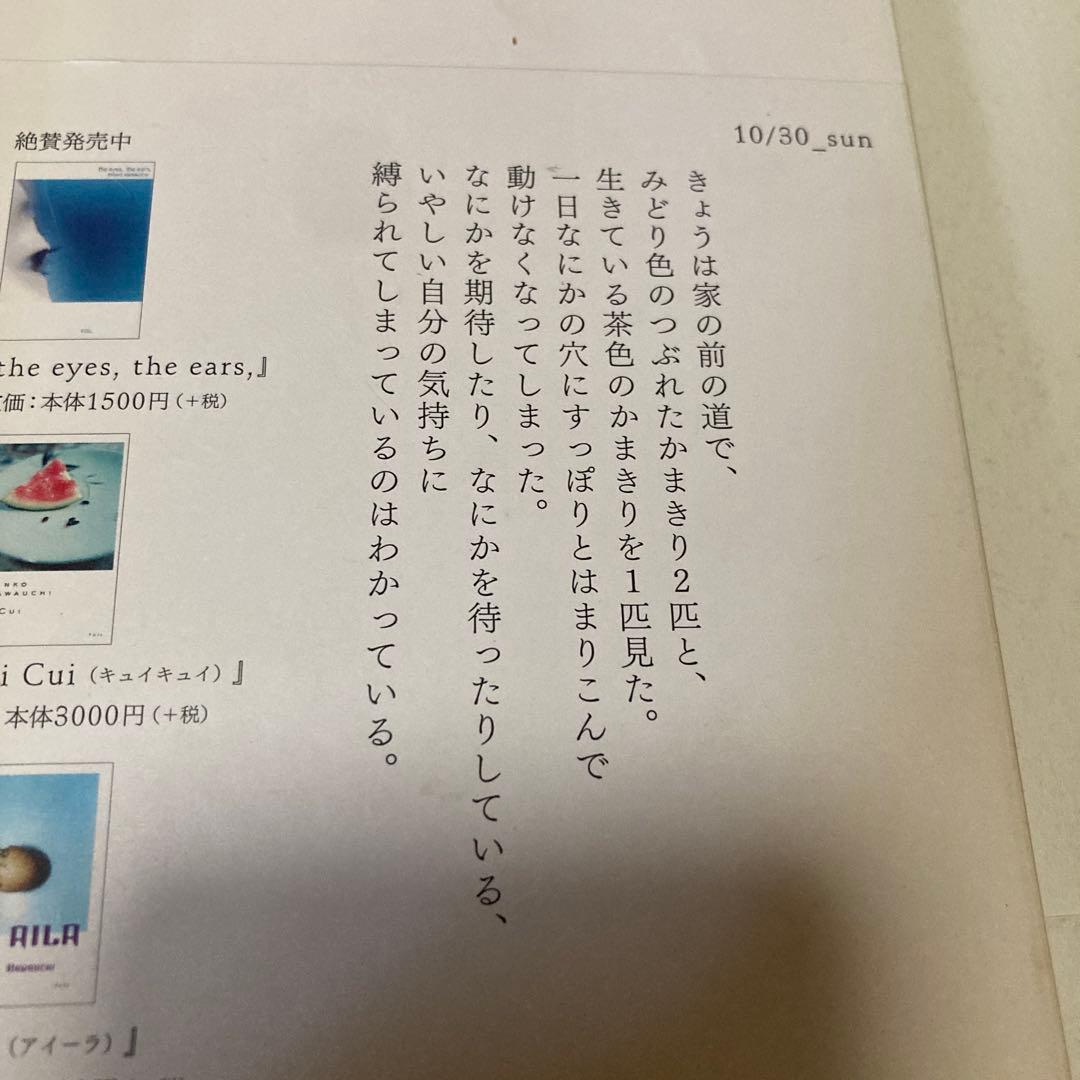 「りんこ日記 2」（サイン本)、「花火」 川内倫子写真集　２冊セット
