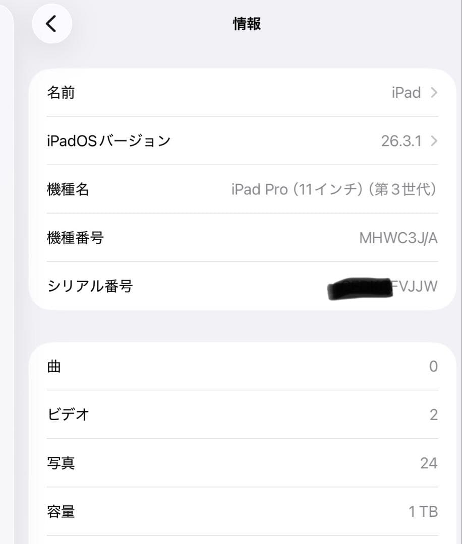 iPad pro 11インチ 第3世代　1TB Cellularモデル