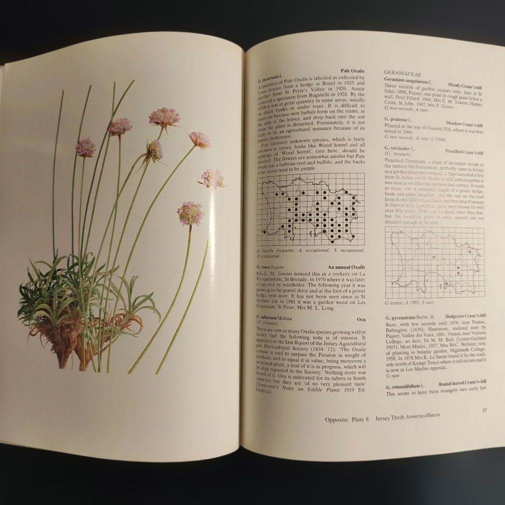 Flora of Jersey フランシス・ル・スール著 植物誌 洋書