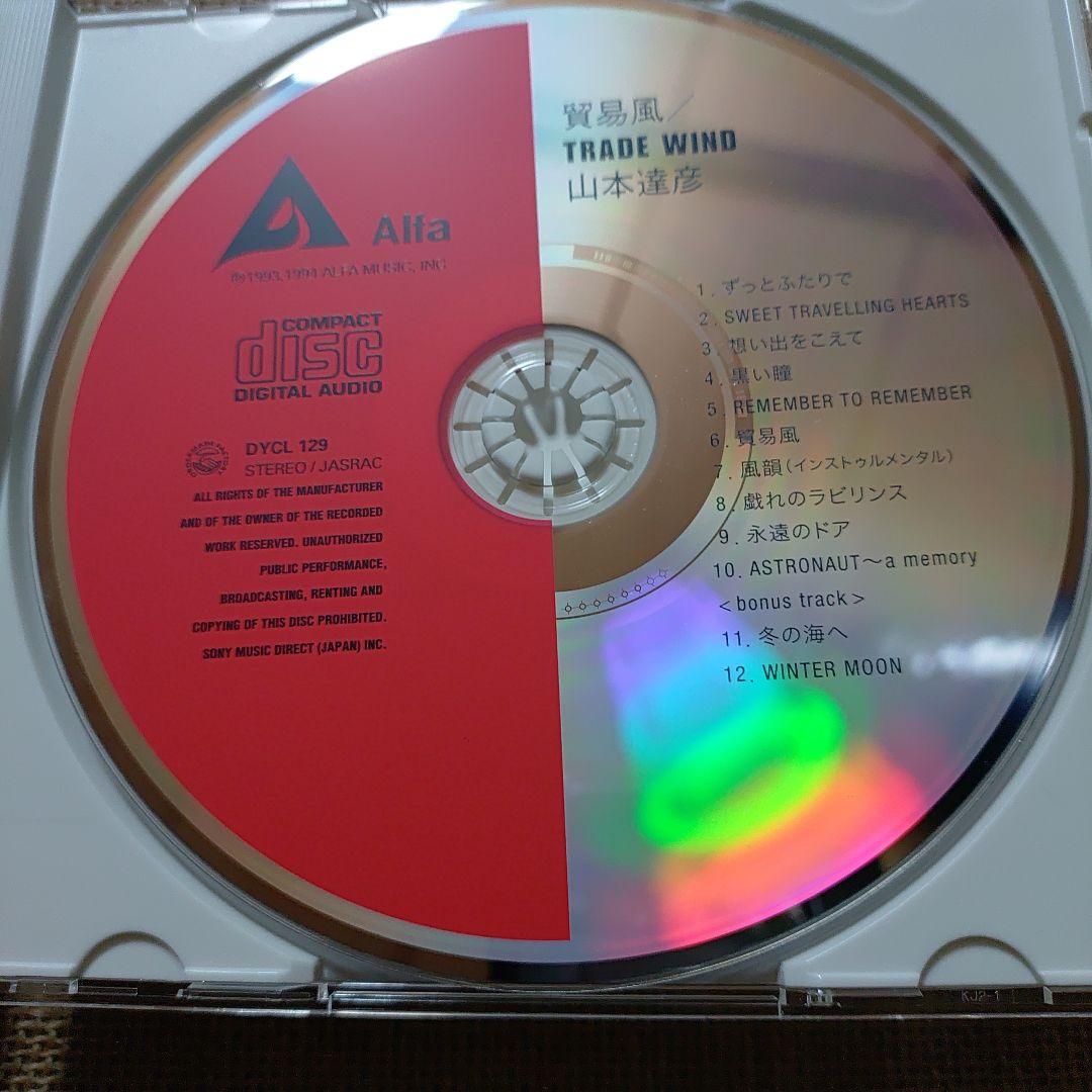 山本達彦「貿易風 Trade Wind」