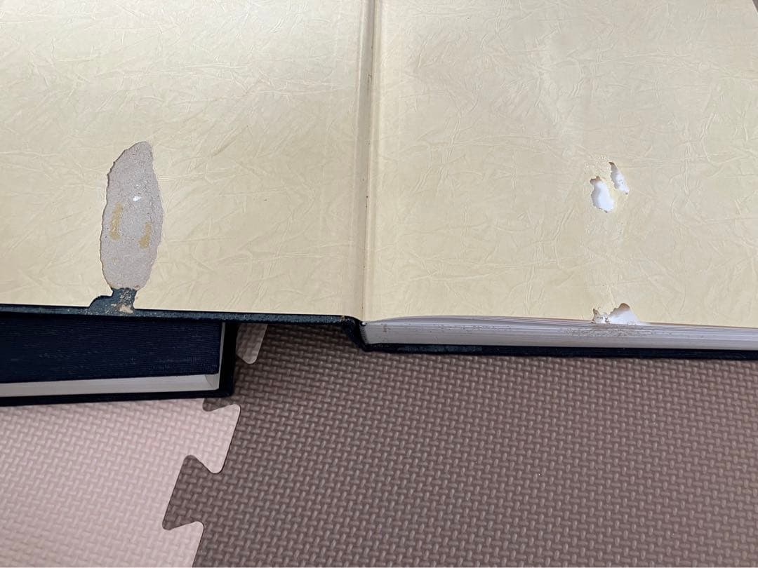 金石家書画集　第一集　第二集　二玄社　書道　習字