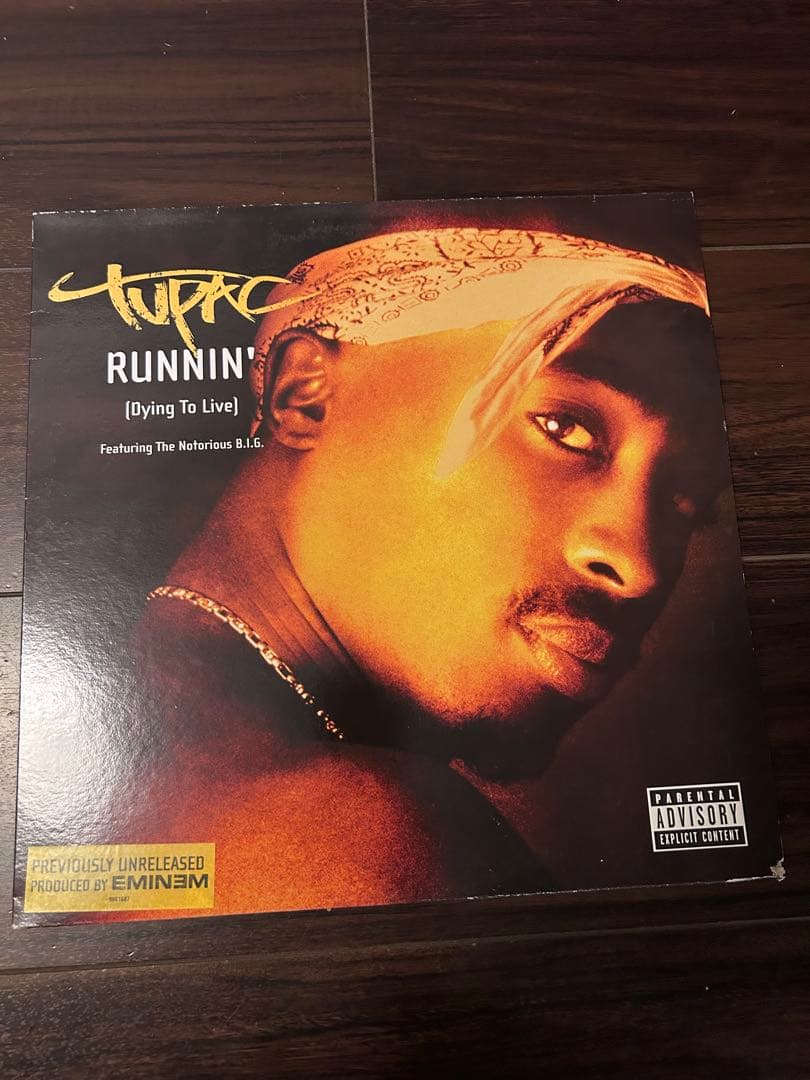 2Pac レコード9枚セット California Love・Changes等