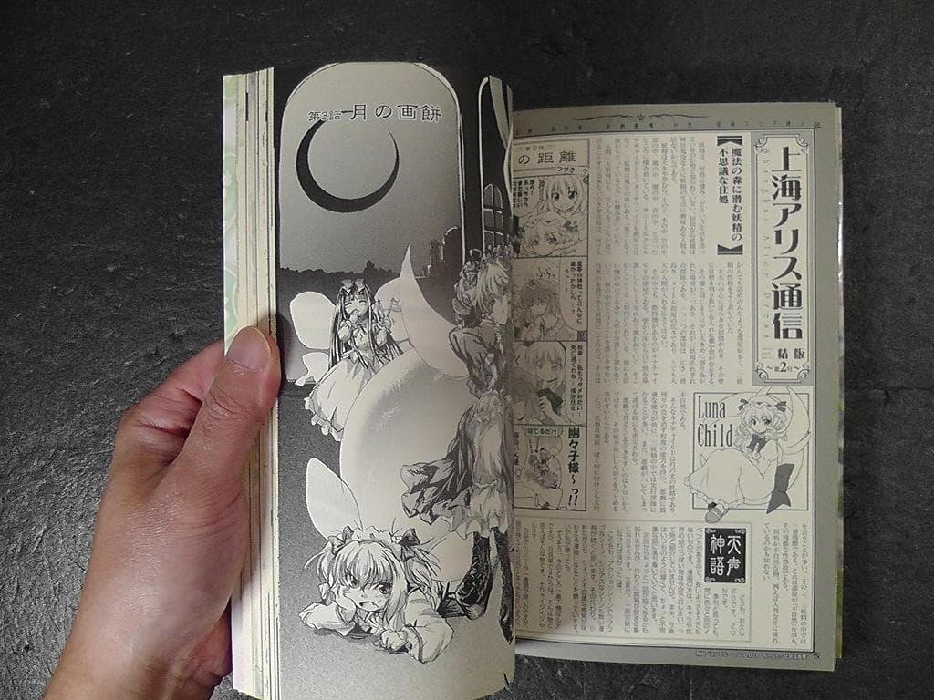 東方三月精 Eastern and Little Nature Deity 欠品
