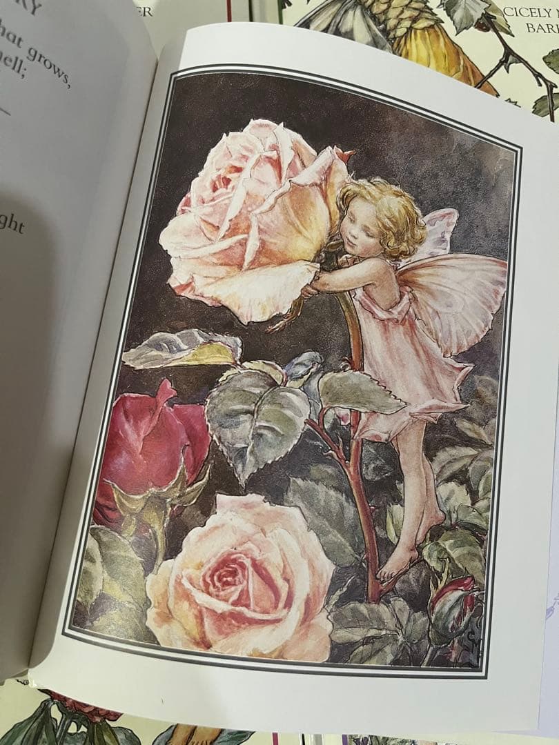 No.408 洋書 絵本 フラワーフェアリーズ 花の妖精