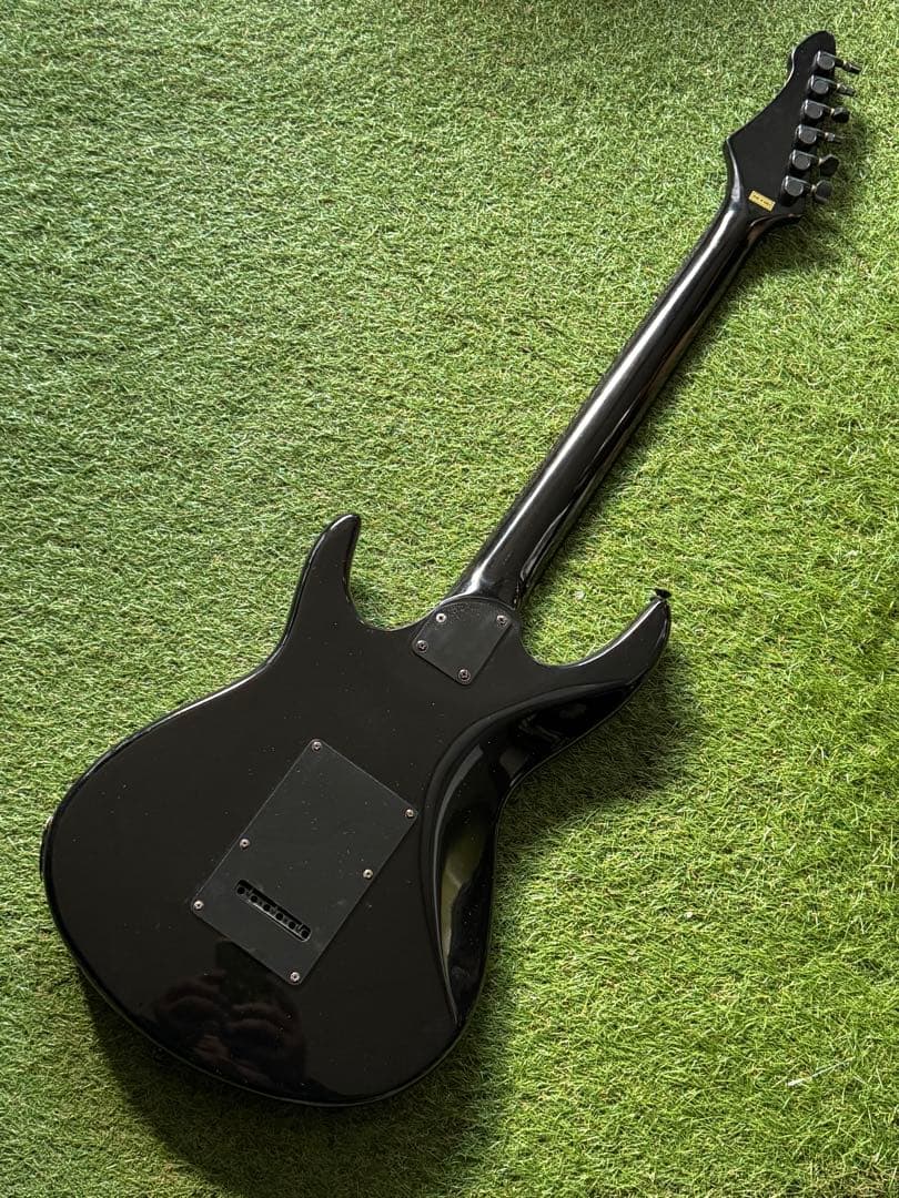 ア*ナ様 ビンテージ　Aria Pro II Black Dog