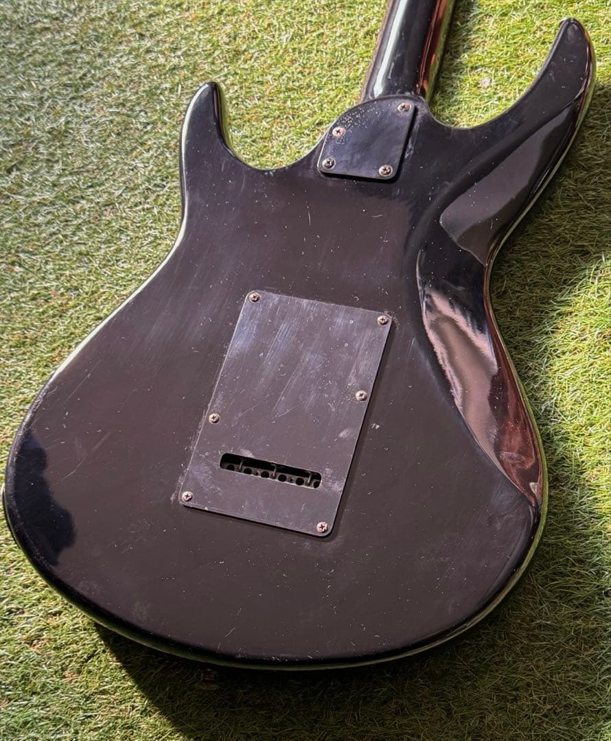 ア*ナ様 ビンテージ　Aria Pro II Black Dog