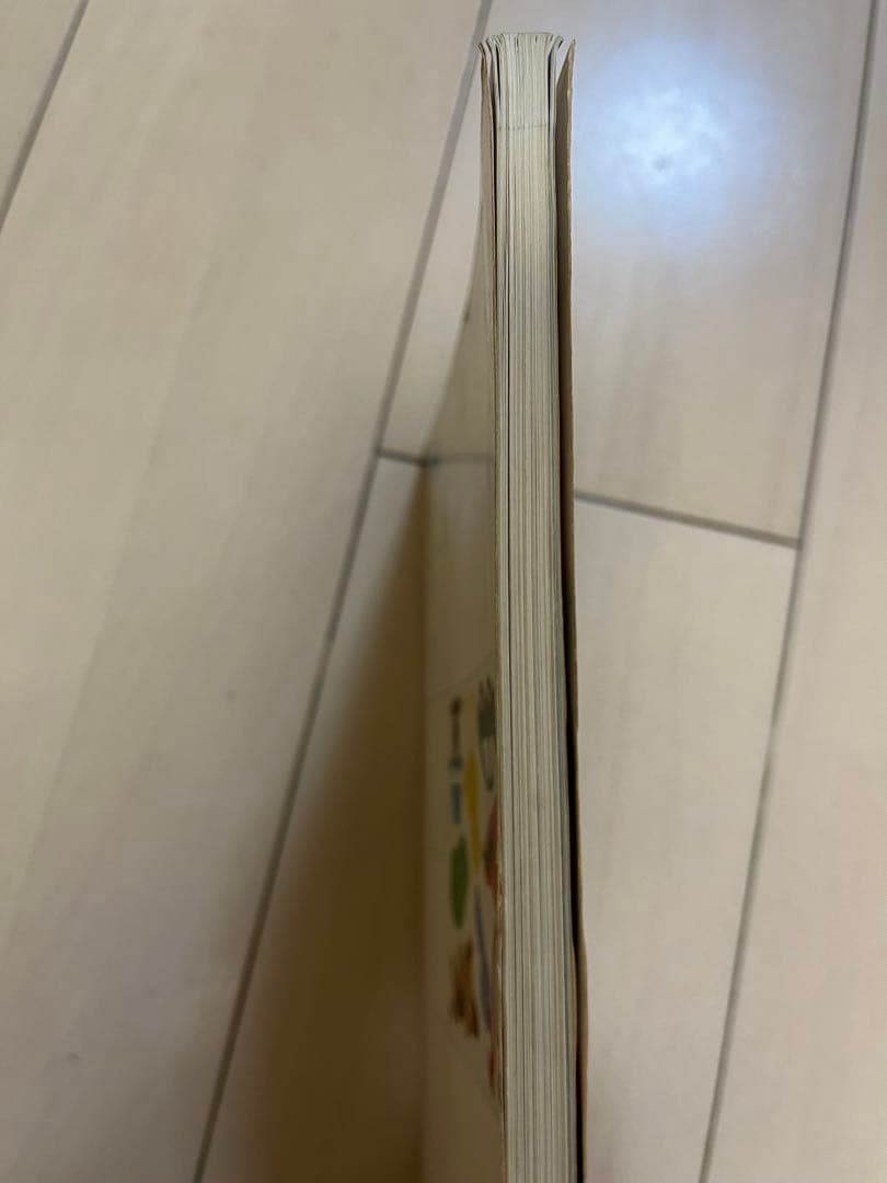 【希少】高校家庭科図説資料