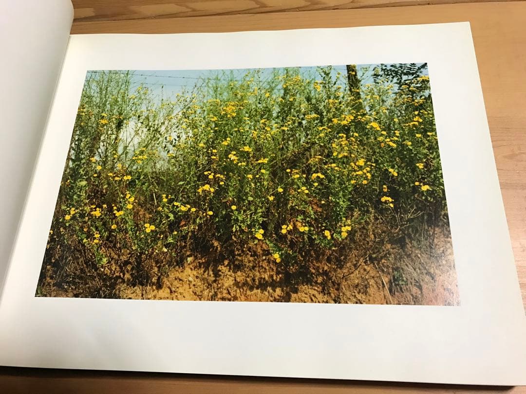 名作　William Eggleston Election Eve