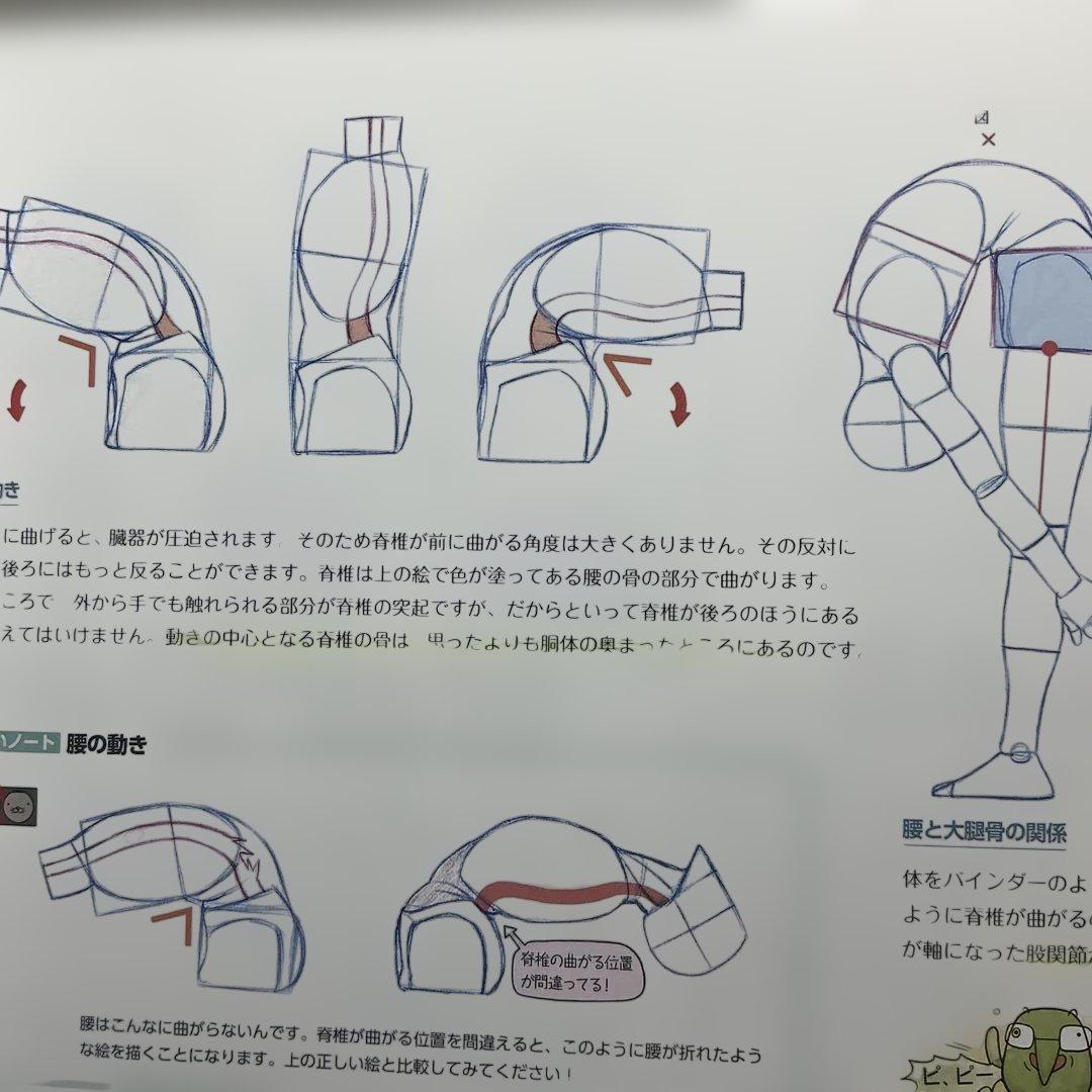 ソッカの美術解剖学ノート　キム・ラッキの人体ドローイング　イラスト技法書　3冊