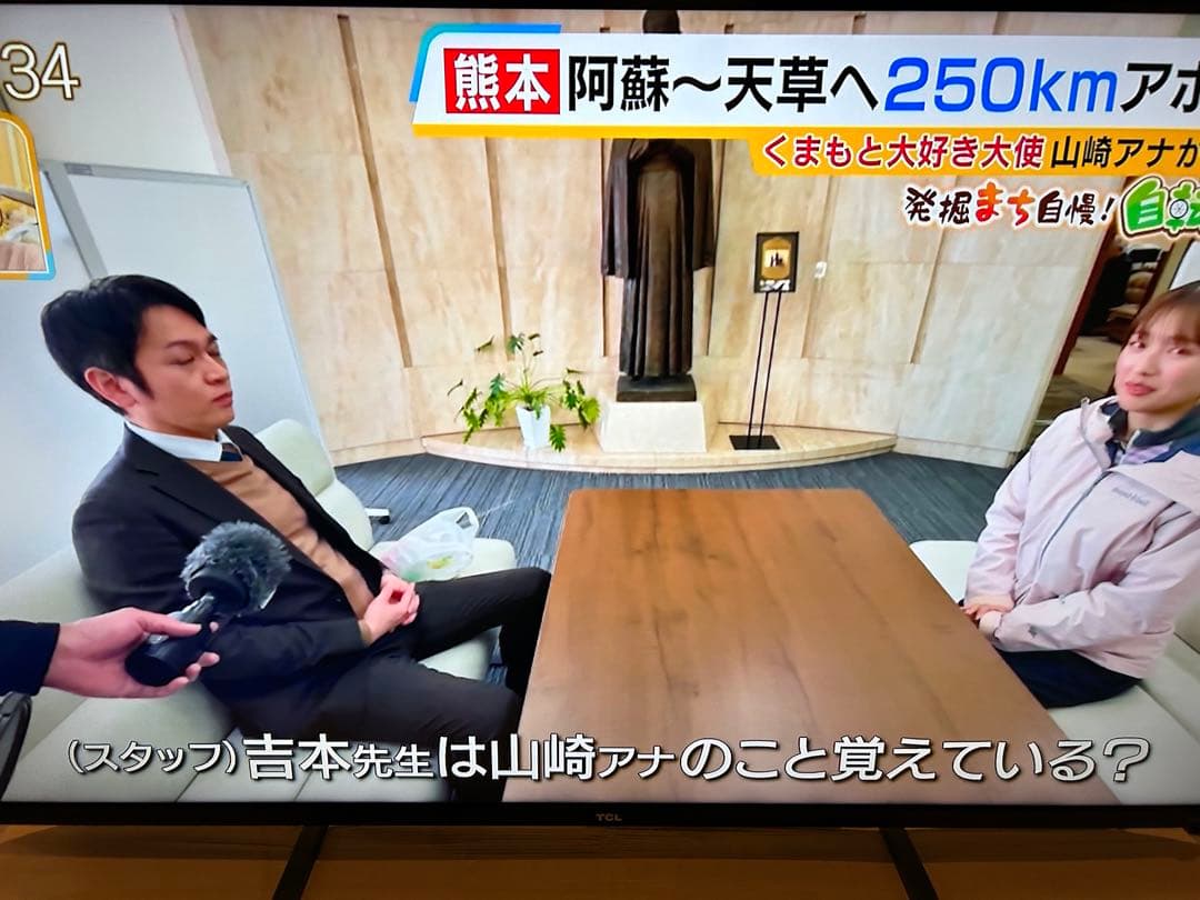特価 TCL 55P815 Android TV / 4K対応 2020年製