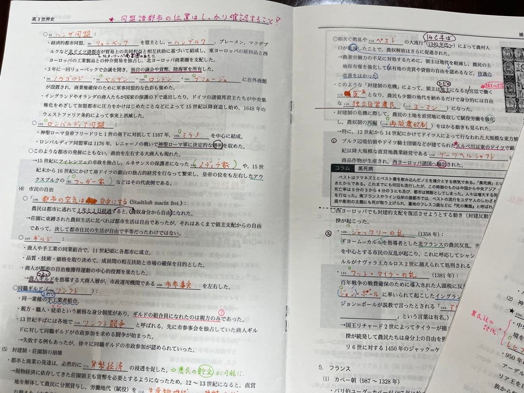 鉄緑会 高３世界史 確認シリーズ 講義ノート 授業内資料セット