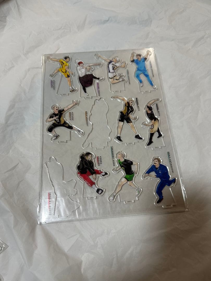 ハイキュークロニクル