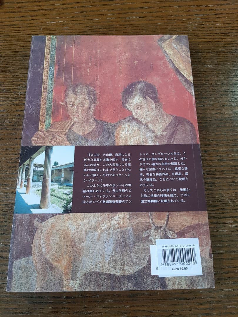 観光の現地で買って来たポンペイの遺跡の本２冊