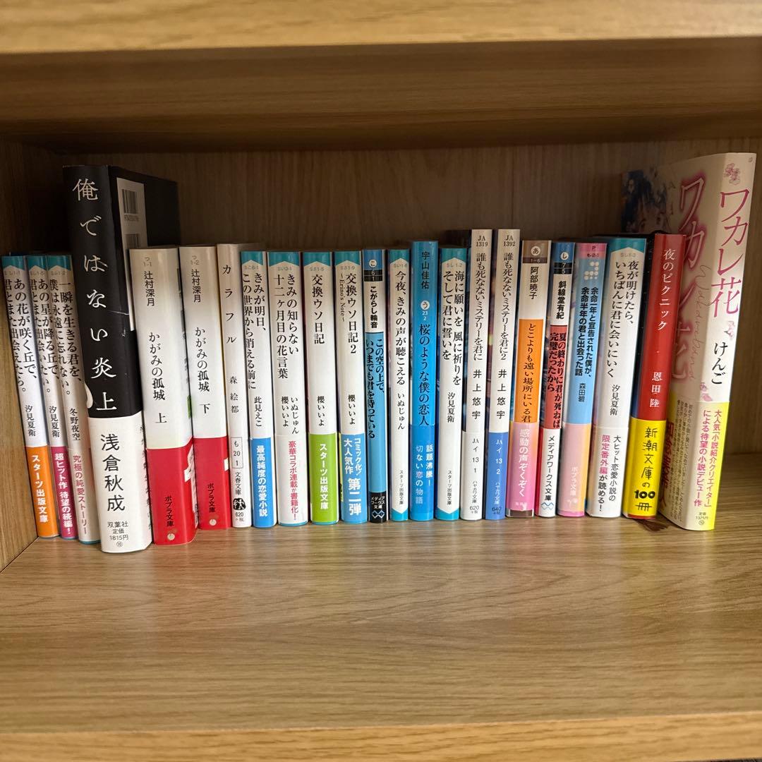 小説まとめ売りセット(バラ売可能)