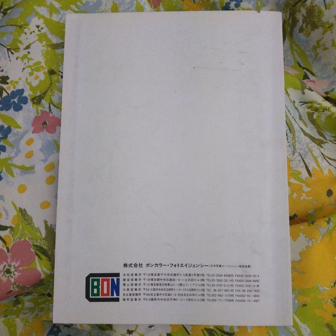 非売品　IMAGE WORKS イラストファイル ボンカラーフォト デザイン
