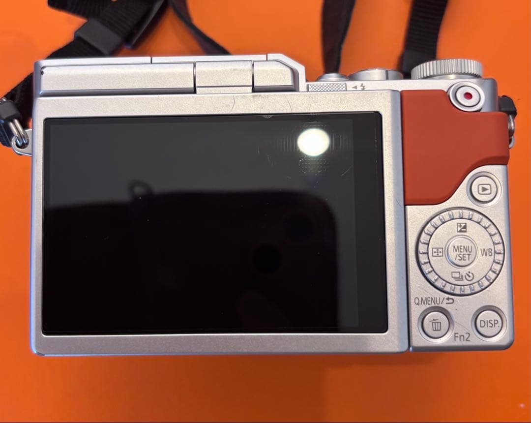 【美品】Panasonic LUMIX GF9 ミラーレス一眼