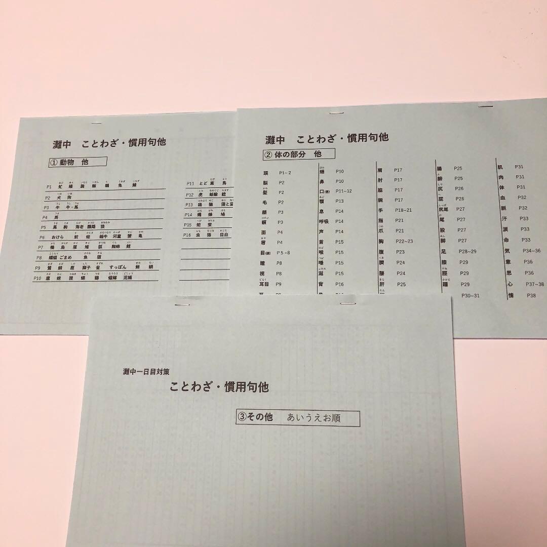 なっつりたーん　灘中　中学受験　国語 1日目対策資料　4セット