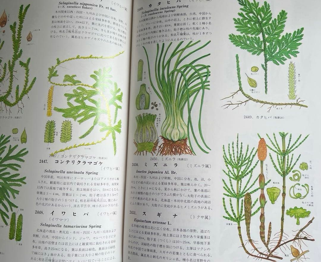 原色牧野植物大図鑑　牧野富太郎著