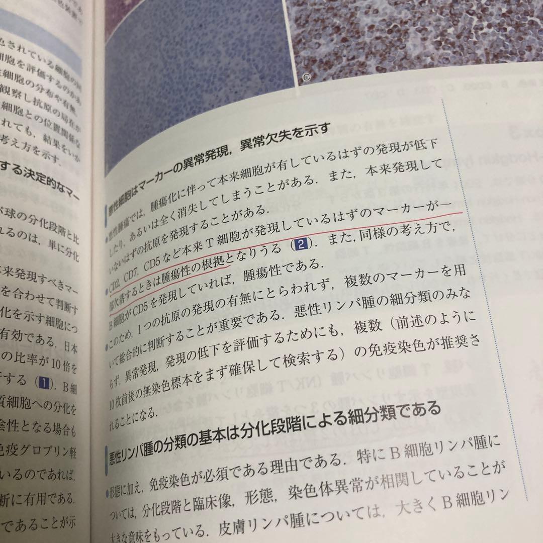 皮膚科臨床アセット : 診る・わかる・治す 13