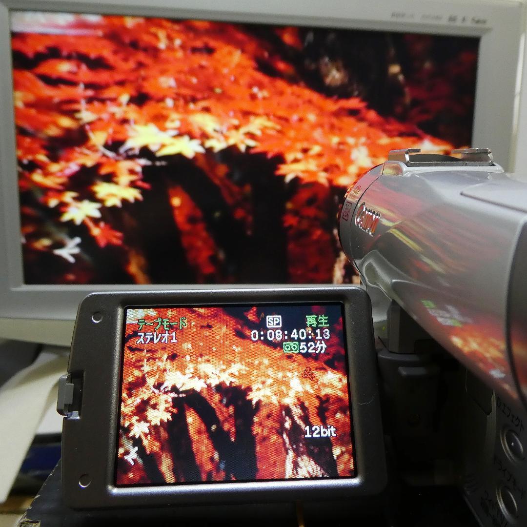 キャノン DM-FV M200 動作良好 MiniDVビデオ DVDダビングに
