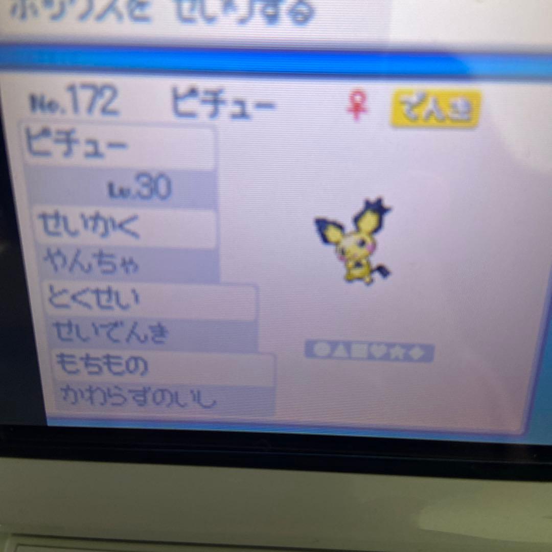 ポケットモンスター ハートゴールド・ソウルシルバー パッケージ説明書付き