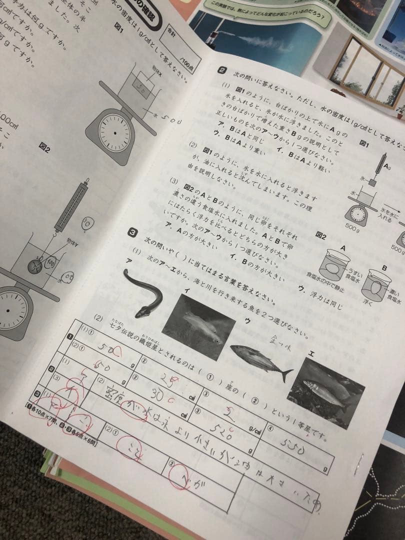 サピックス　5年理科　デイリー/春/夏/冬　２０２１年度版　中古