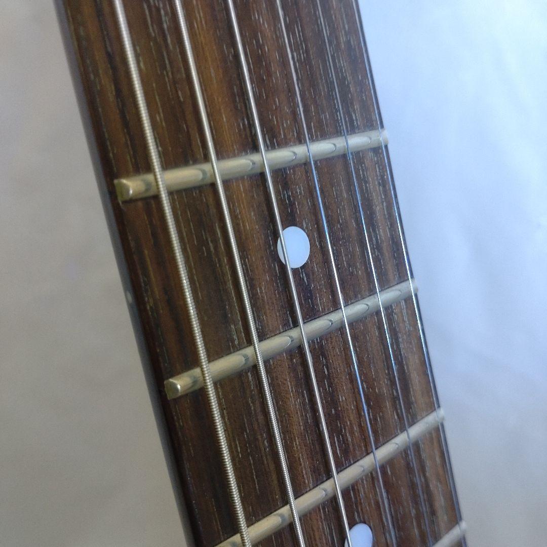 Epiphone Slash \"AFD\" レスポール Special II