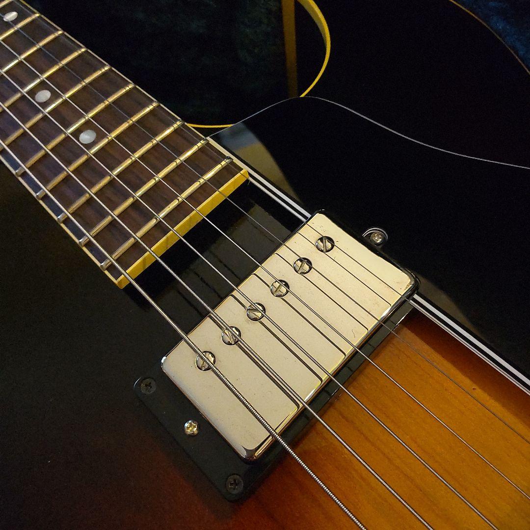 KING SNAKE Curtis H DeepBody 2.67kg 状態良好
