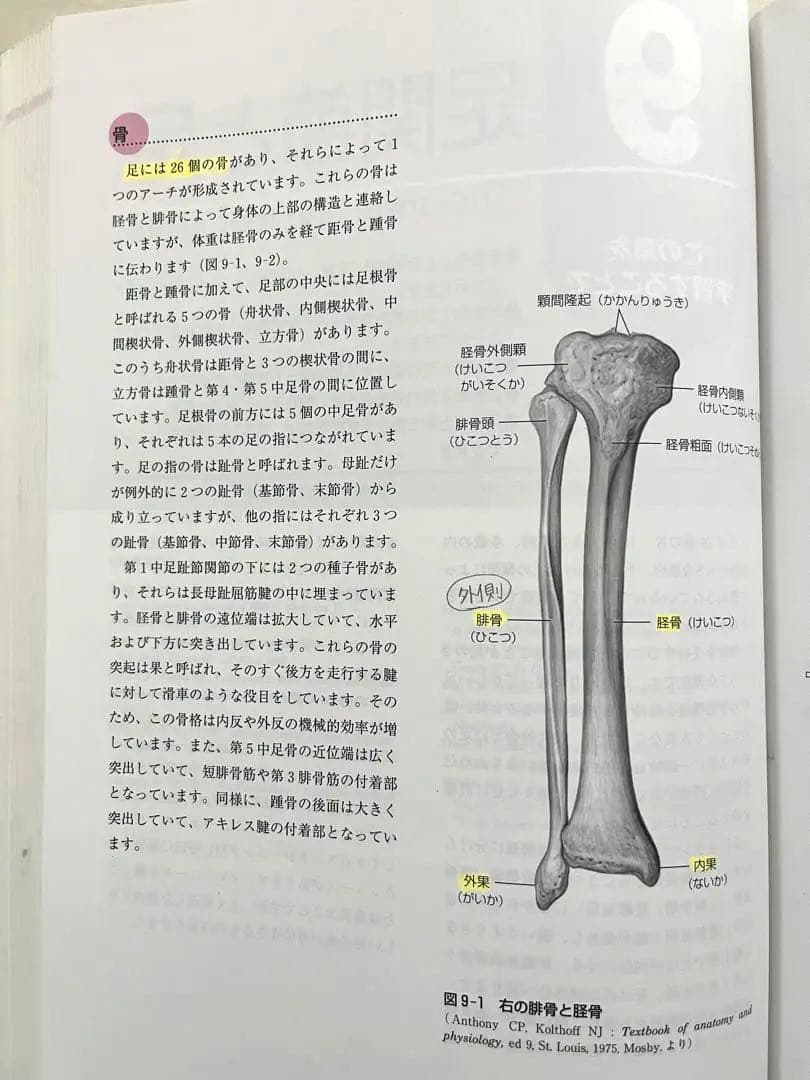 テキスト　機能解剖学　四肢と脊椎の診かた　徒手検査法　理学療法　作業療法士