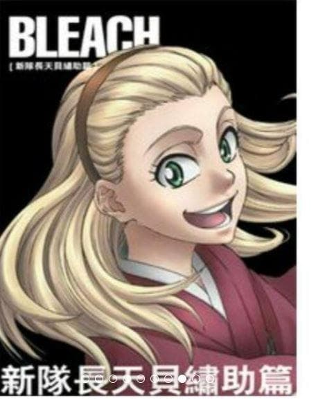 リージョン機確認 わけ有 台湾正規盤 BLEACH DVD BOX アニメ