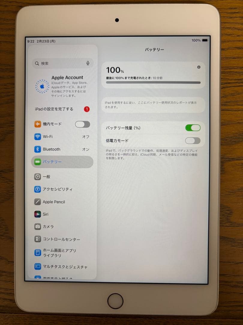 【美品】iPad mini 第5世代 64GB Wi-Fi 充電ケーブル付