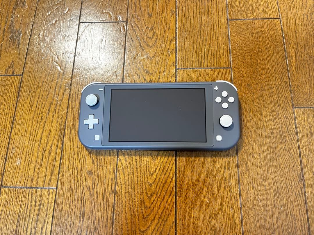 【美品】Nintendo Switch Lite グレー 箱AC付 動作確認済