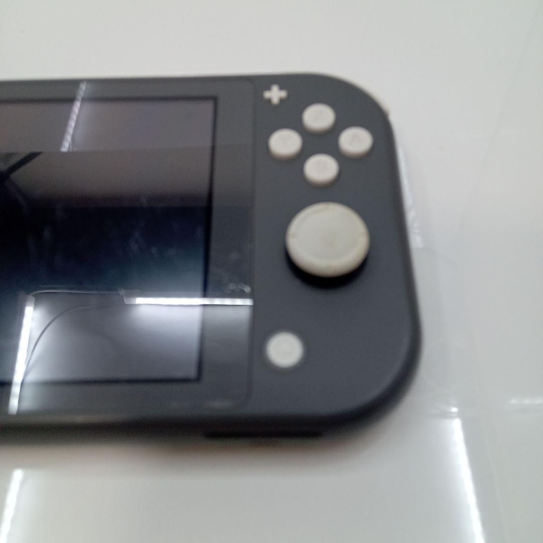 Nintendo Switch Lite 本体 ポケモン グレー 2台 ジャンク