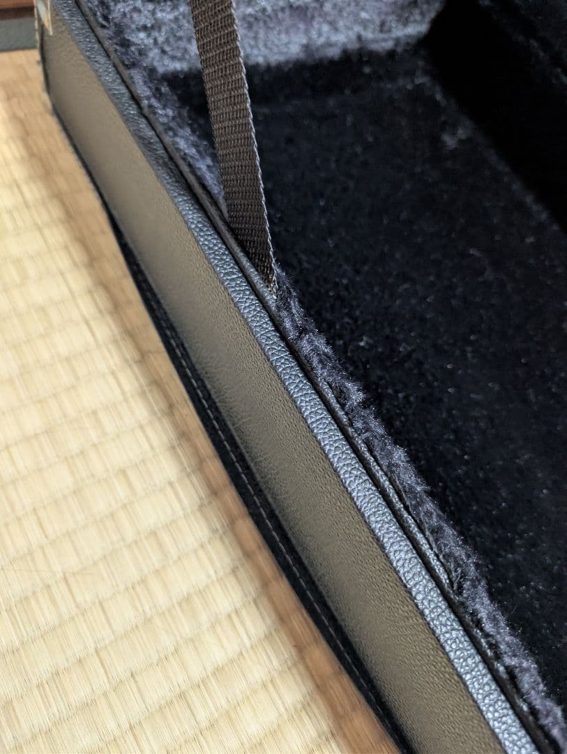 DEAN DAVE MUSTAIN Signature ギター ケース付