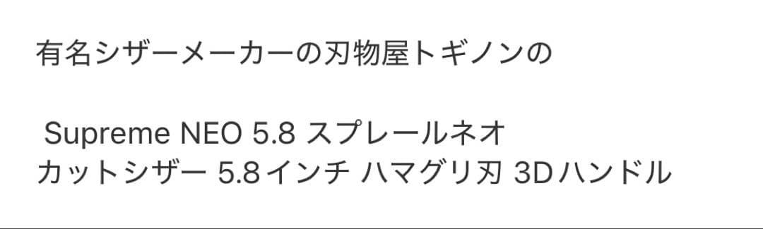 トギノン　シザーセット