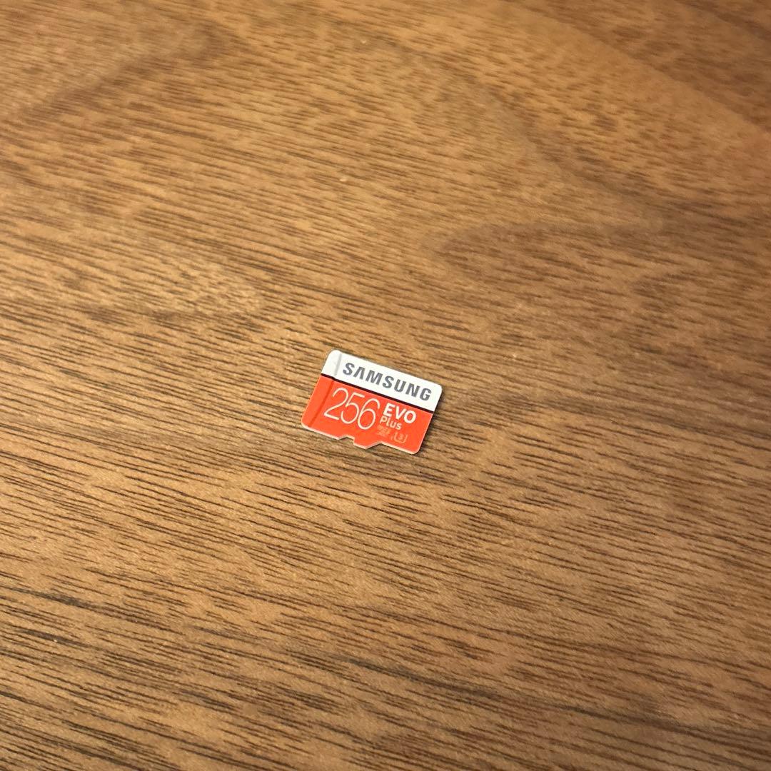Switch Nintendo Switch グレー microSD256GB付