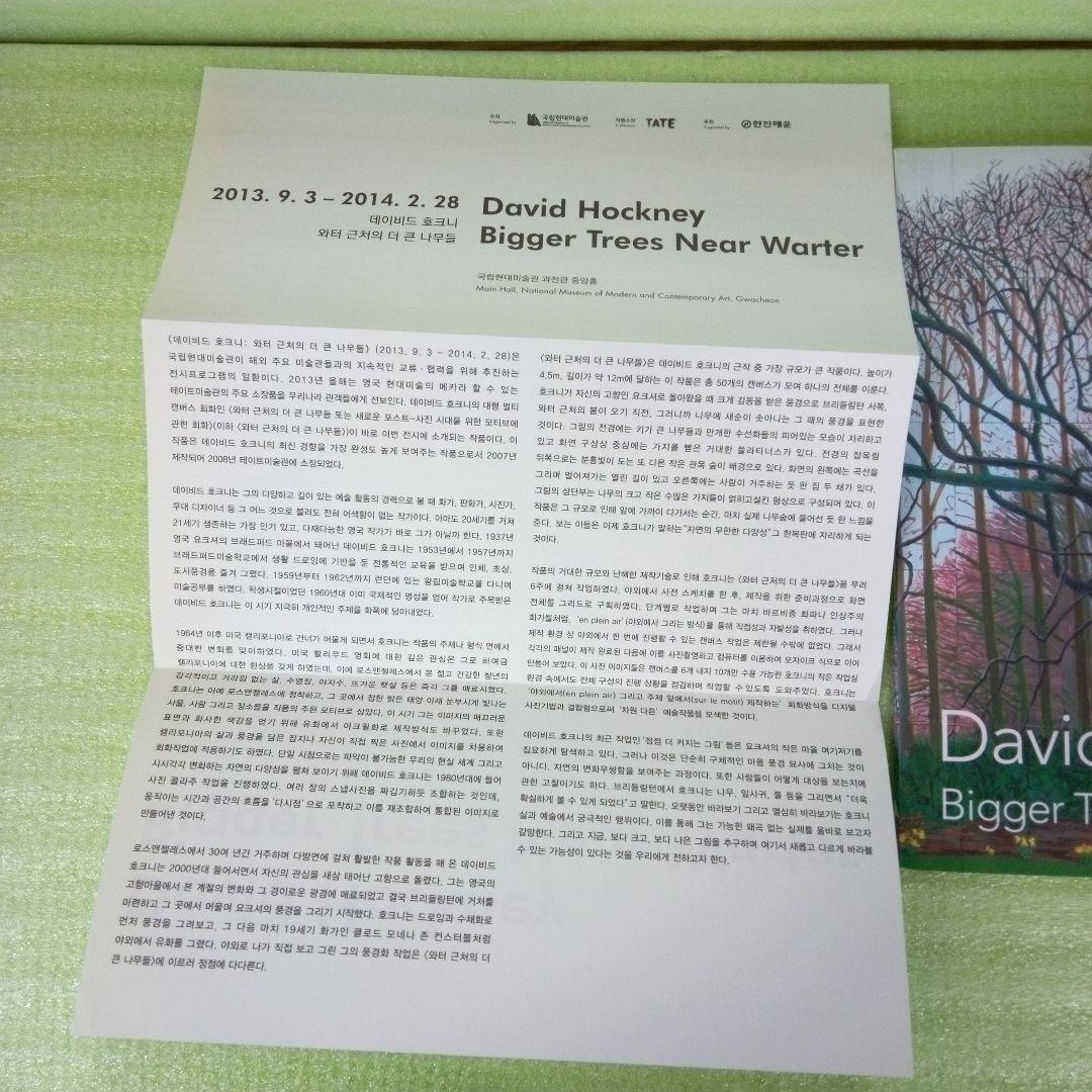 David Hockney　Bigger Trees Near Water　図録