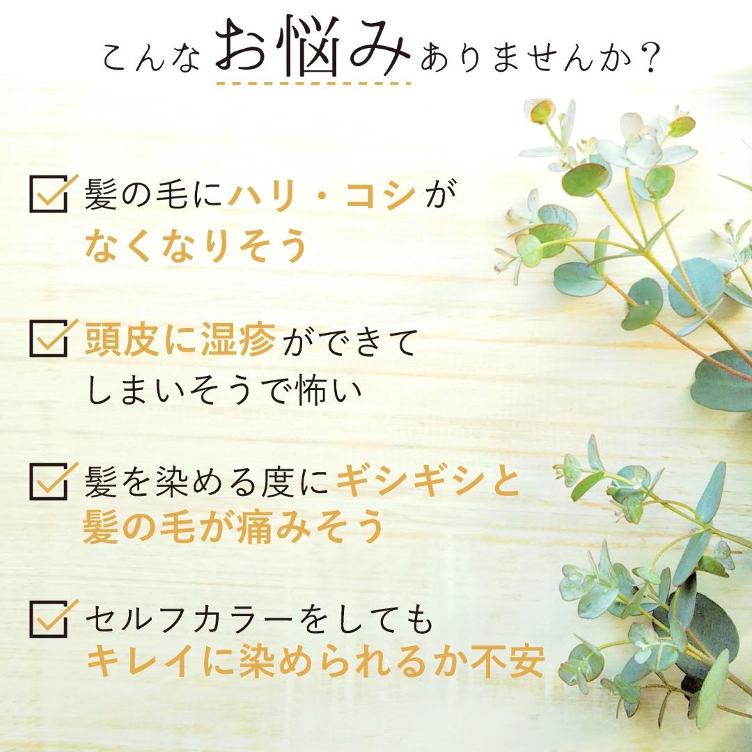 染め上がりの手触りが変わる！【ブラウン＆アムラ セット】３パック