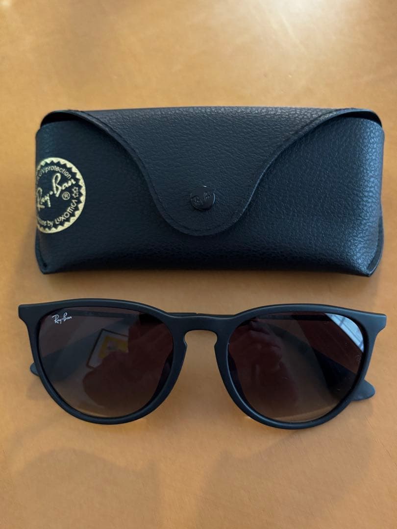 Ray-Ban ERIKAサングラス ケースRB4171-F