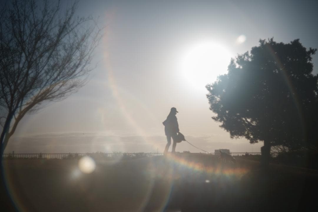 虹のかかる癖玉！Leica Summar 50mm F2 オールドレンズ