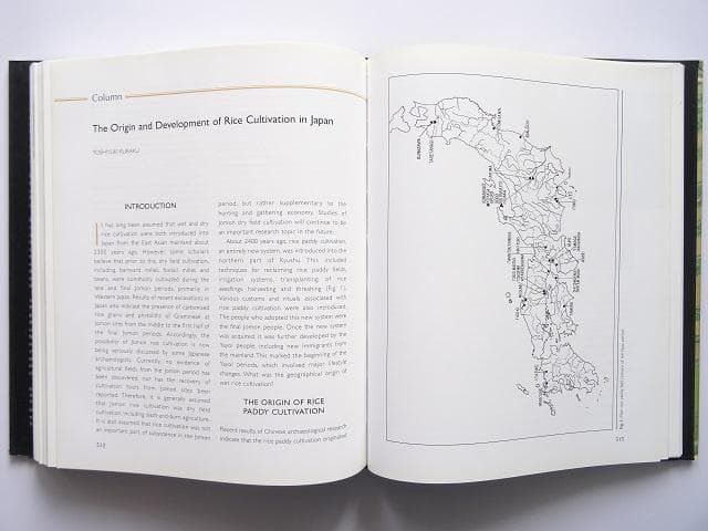 洋書◆陶器と農業の起源 本