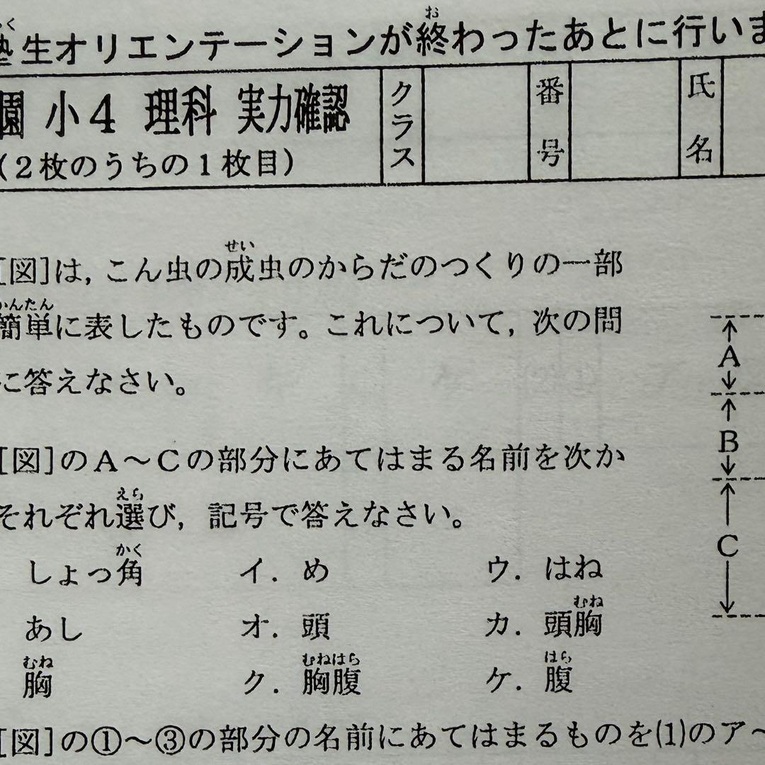 即日発送！原本サイズ⭐︎浜学園 Vクラス 復習テスト 3科目 小4 最安値